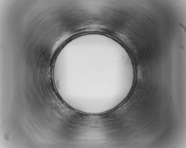 X0000102221164200808151658