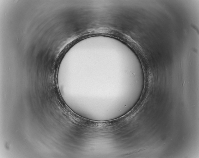 X0000102221166200808151658