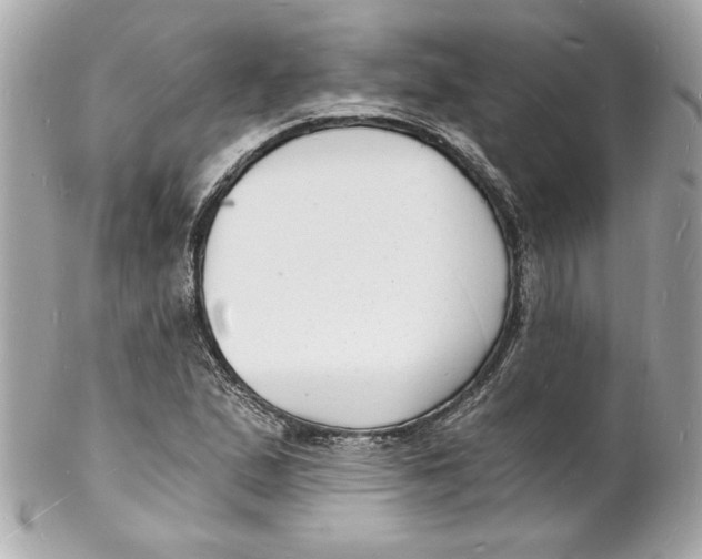 X0000102221167200808151658