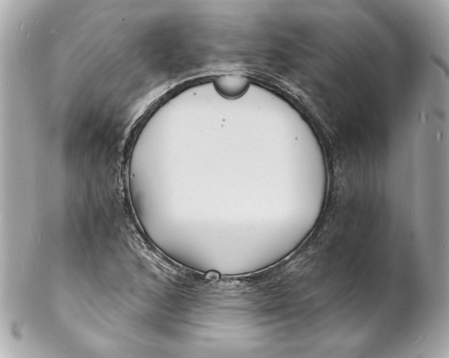 X0000102221168200808151658