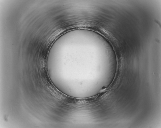 X0000102221169200808151658