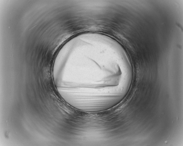 X0000102221170200808151658