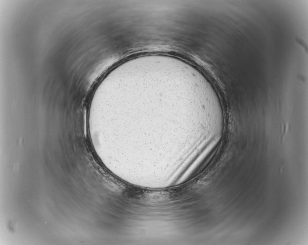 X0000102221171200808151658