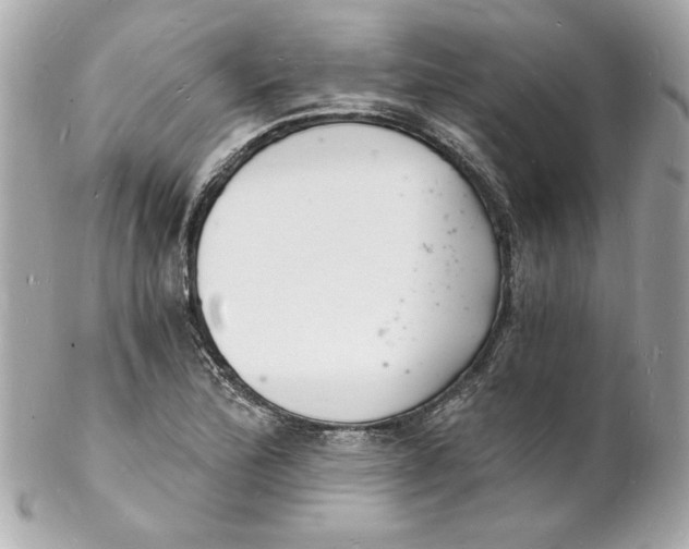 X0000102221172200808151658