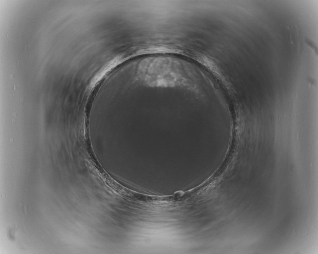 X0000102221173200808151658