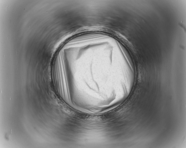 X0000102221174200808151658