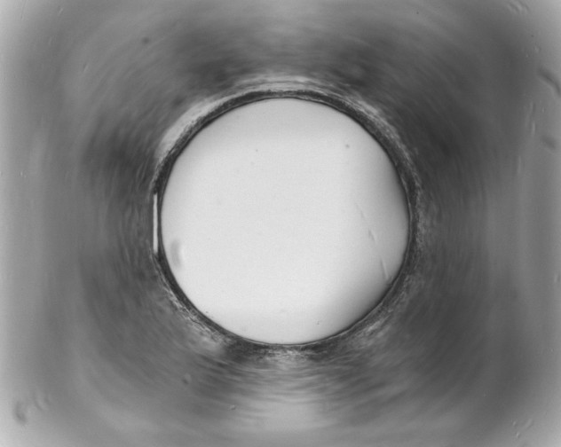 X0000102221175200808151658