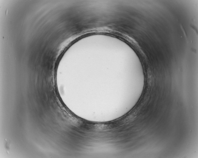 X0000102221176200808151658