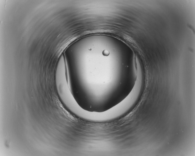 X0000102221177200808151658