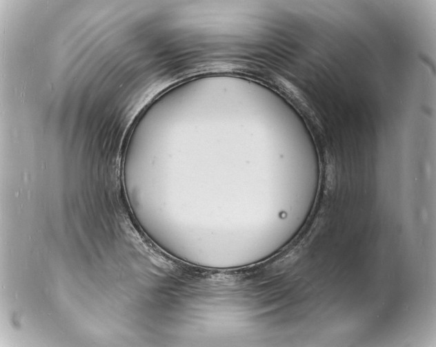 X0000102221178200808151658