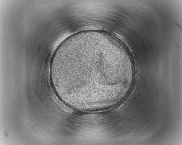 X0000102221179200808151658