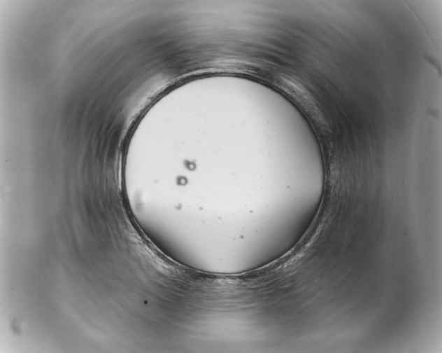 X0000102221180200808151658