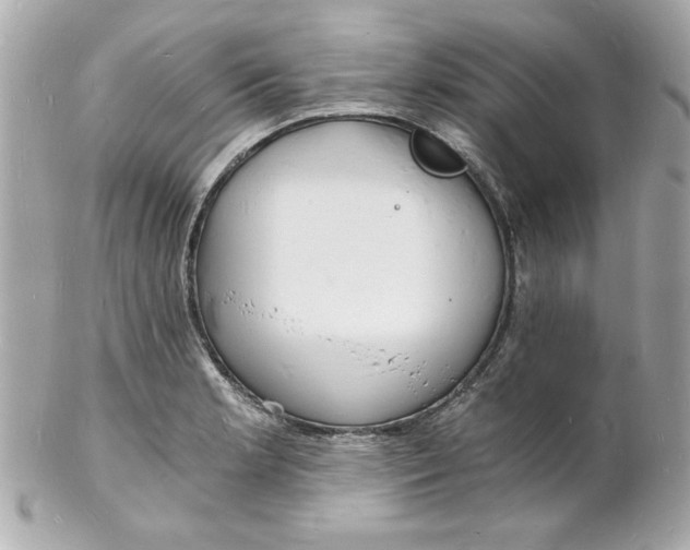 X0000102221181200808151658