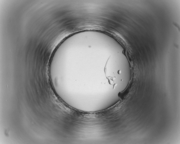 X0000102221182200808151658