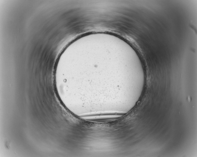 X0000102221183200808151658