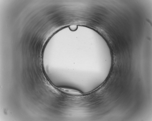 X0000102221184200808151658