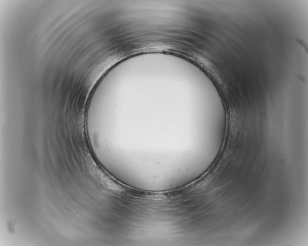 X0000102221186200808151658