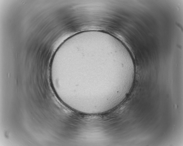 X0000102221187200808151658