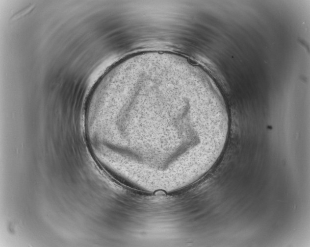 X0000102221188200808151658