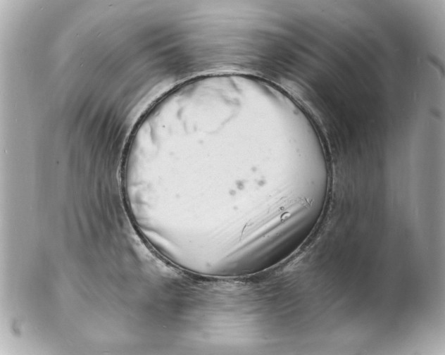 X0000102221189200808151658