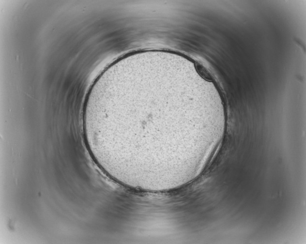 X0000102221191200808151658