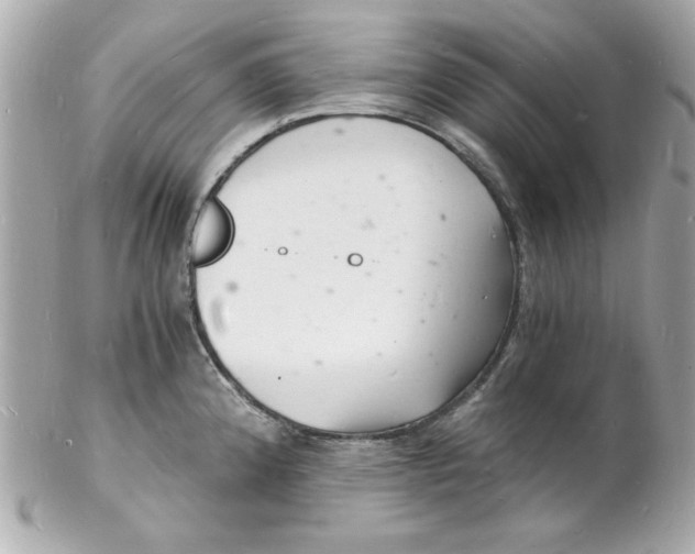 X0000102221192200808151658