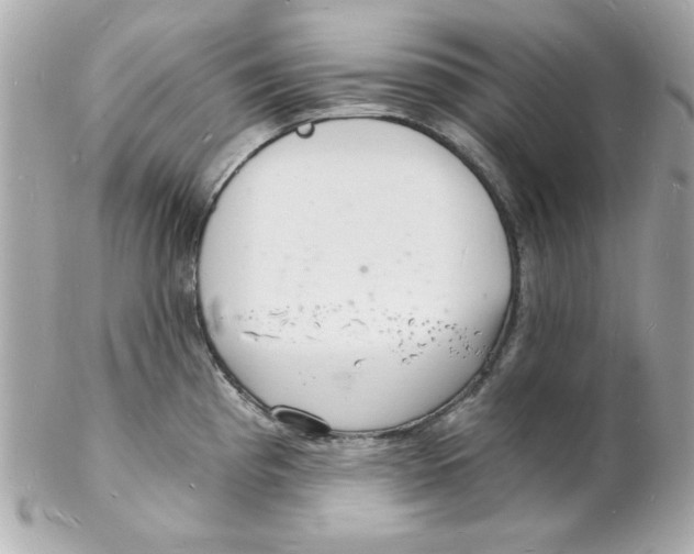 X0000102221193200808151658