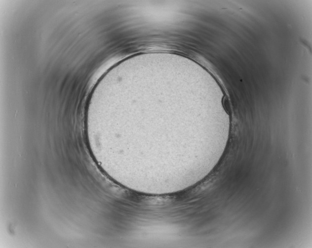 X0000102221195200808151658