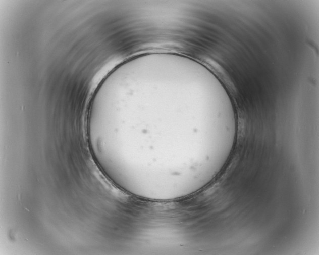 X0000102221196200808151658