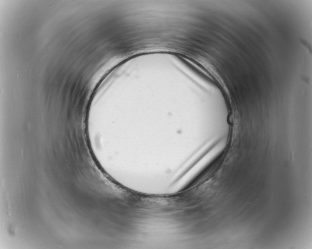 X0000102221197200808151658