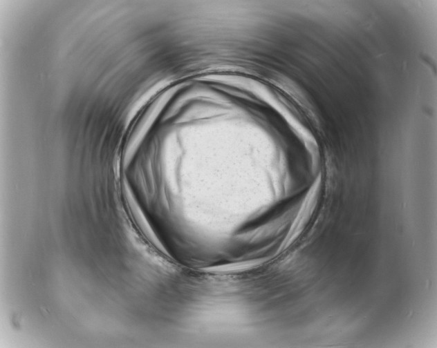 X0000102221198200808151658