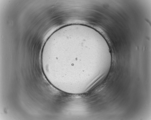 X0000102221199200808151658