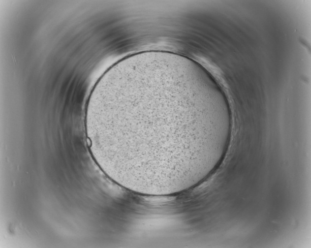 X0000102221200200808151658