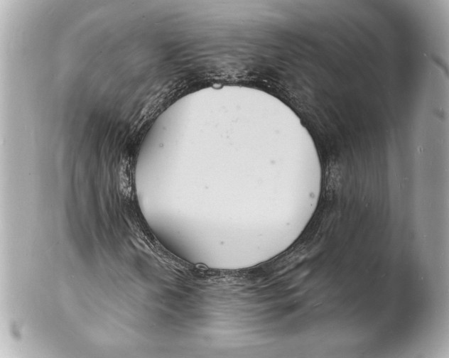 X0000102221202200808151657