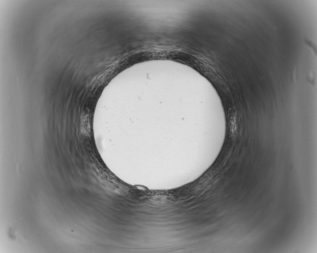 X0000102221204200808151657