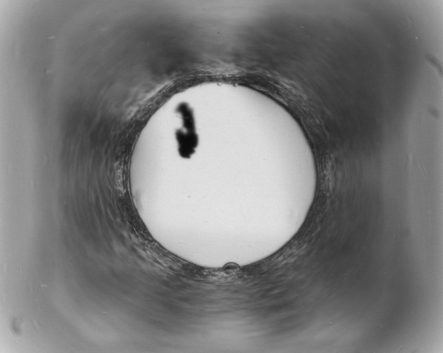 X0000102221205200808151657