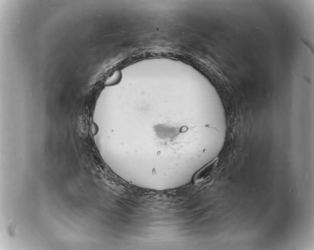 X0000102221207200808151657