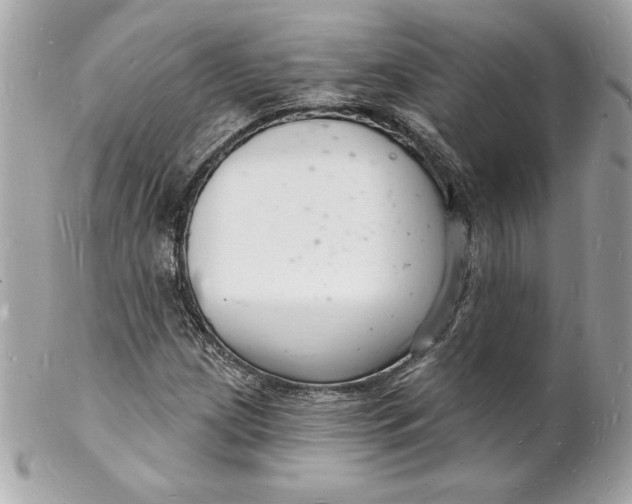 X0000102221209200808151657