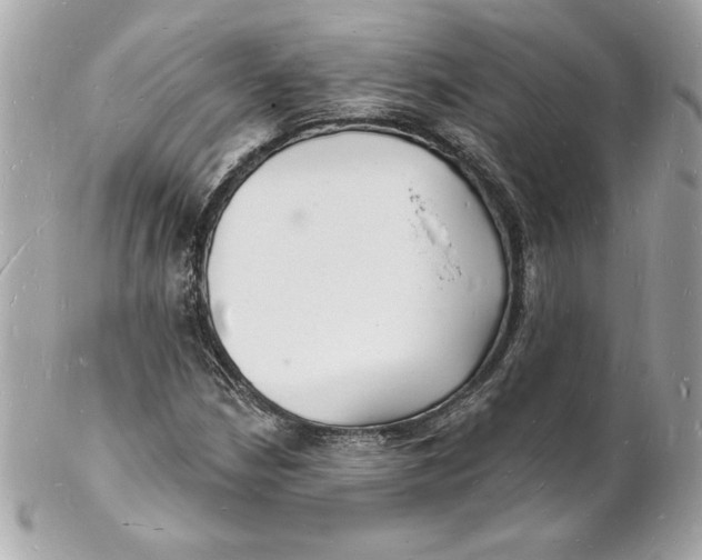 X0000102221210200808151657