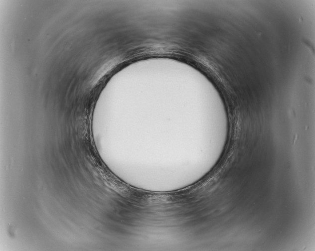 X0000102221211200808151657