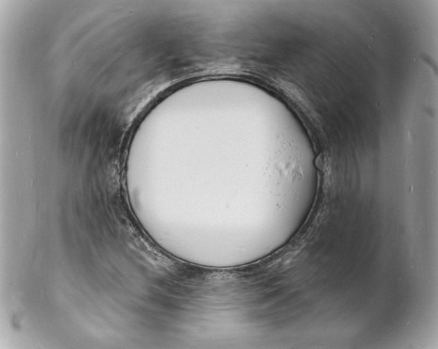 X0000102221212200808151657