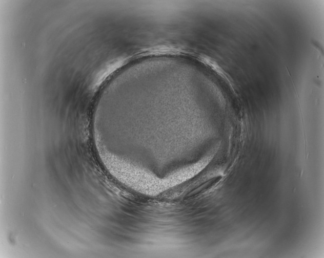 X0000102221213200808151657