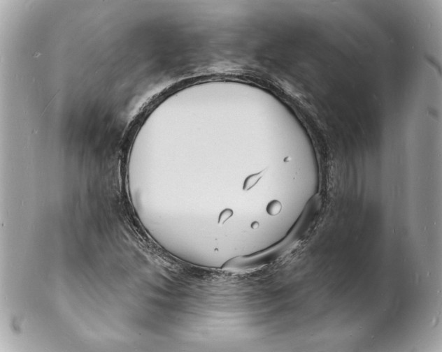 X0000102221214200808151657