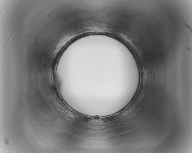 X0000102221215200808151657