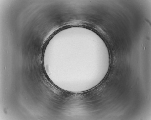 X0000102221216200808151657