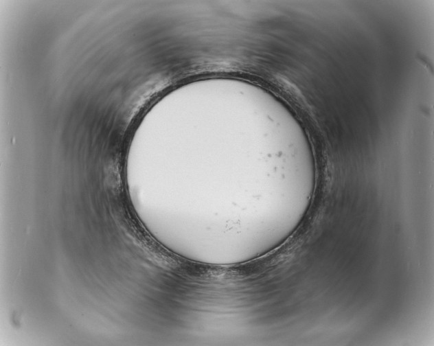 X0000102221218200808151657