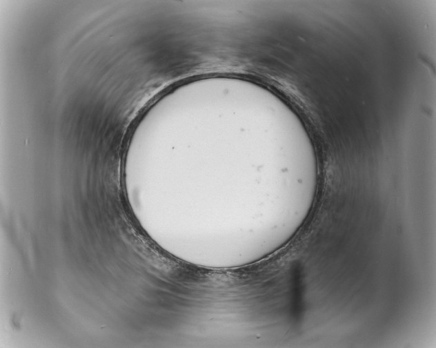 X0000102221220200808151657