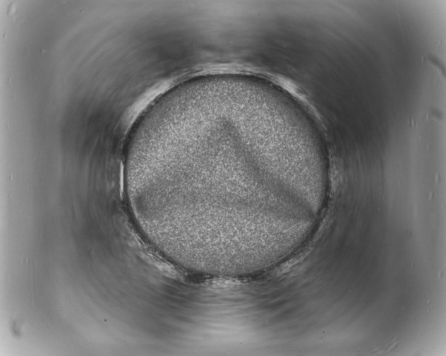 X0000102221221200808151657