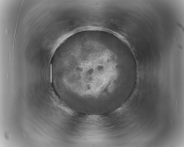 X0000102221223200808151657