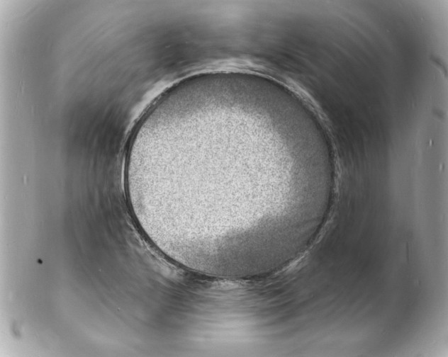 X0000102221224200808151657